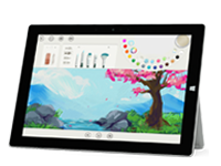 惠东Surface 无法开启、Windows 无法启动或电池无法充电